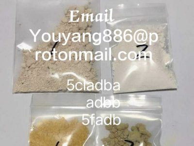 Supplier supply High Quality CAS 125541-22-2 With Best Price