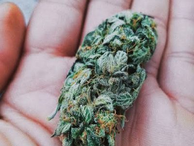 Telegram:(@arven_knox) Buy Coke,Weed,MDMA,Meth,Cannabis,Cocaine in Novosibirsk
