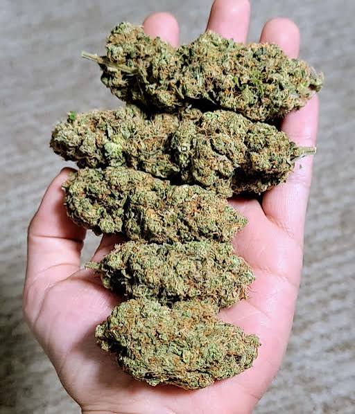 Telegram:(@arven_knox) Buy Coke,Weed,MDMA,Meth,Cannabis,Cocaine in Volgorad
