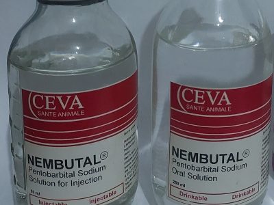 (Email: nembutalmort@gmail.com) Buy nembutal pentobarbital online