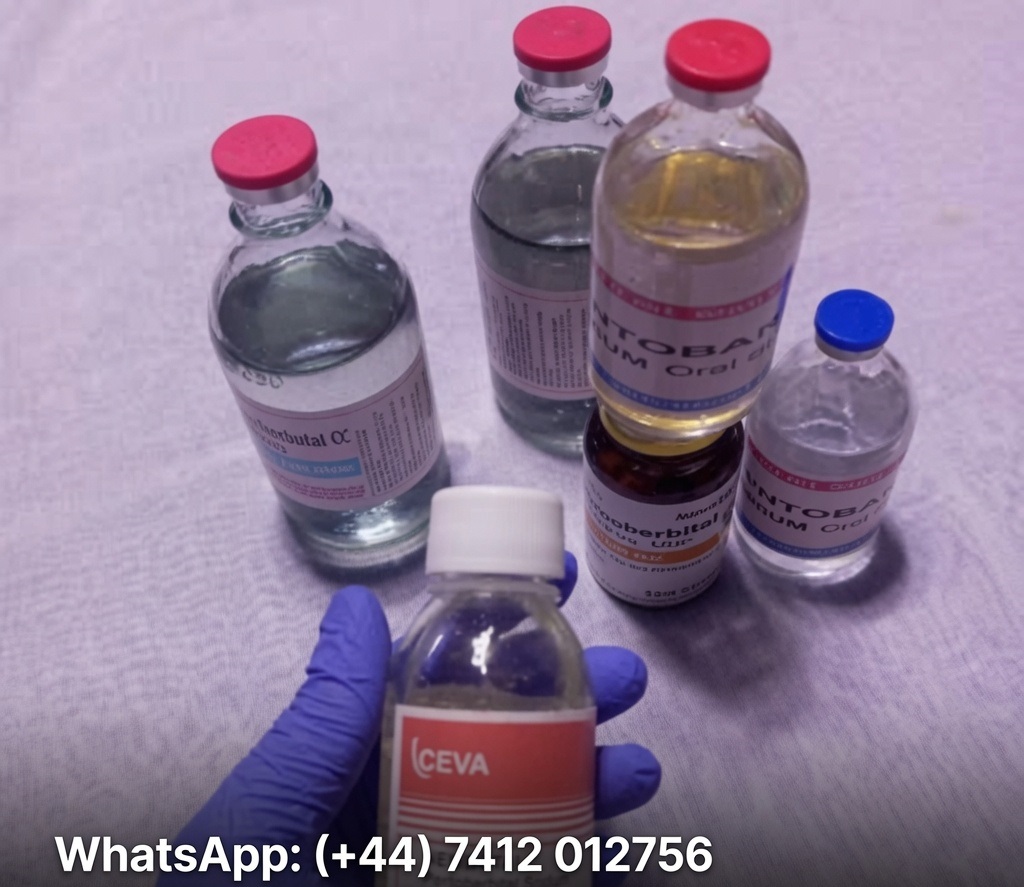 Buy Nembutal Pentobarbital and Cyanide Poison WhatsApp: (+44) 7412 012756